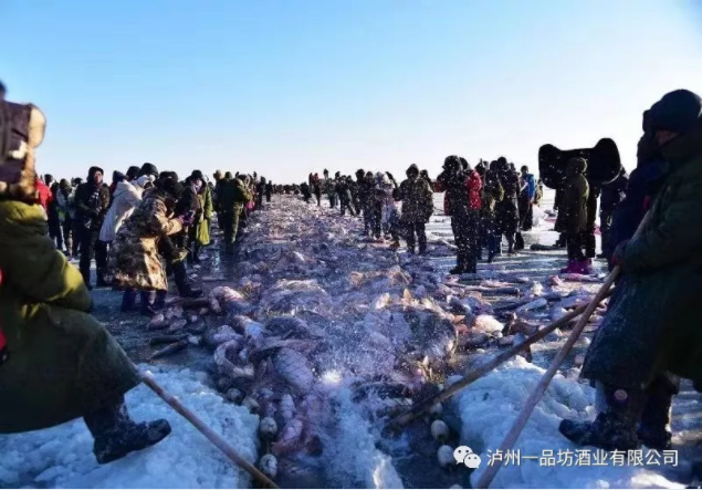 泸州老窖一品坊.png 泸州老窖一品坊.png