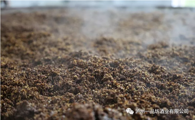 泸州老窖一品坊.png 泸州老窖一品坊.png